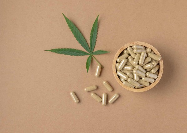 Bien choisir son cbd : les gammes de produits proposés sur le marché